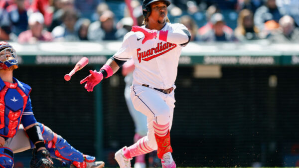 不仅展示了 不仅展示了